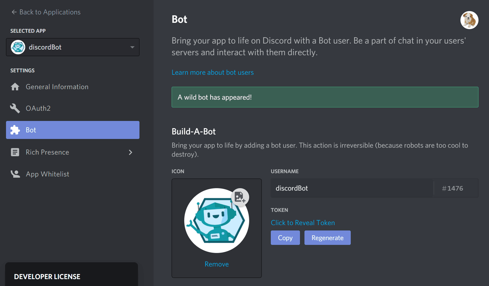 Discord bot details