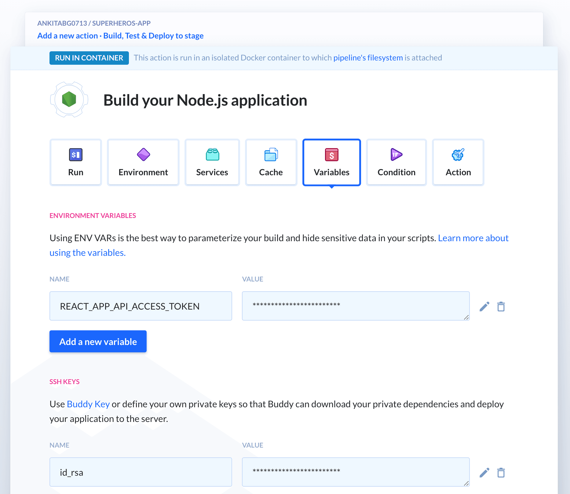 Verification of the environment variables